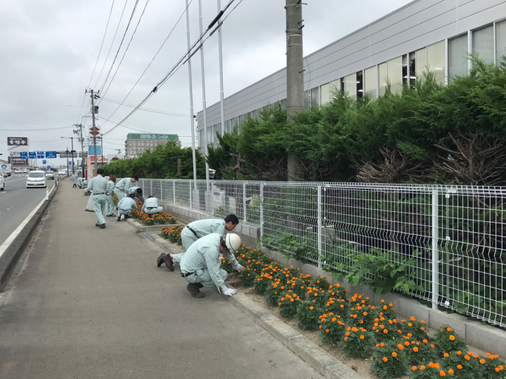 20170720草取り1