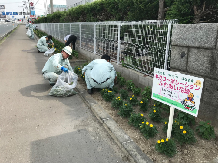 20180720花壇草取り3