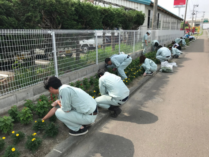 20180720花壇草取り1